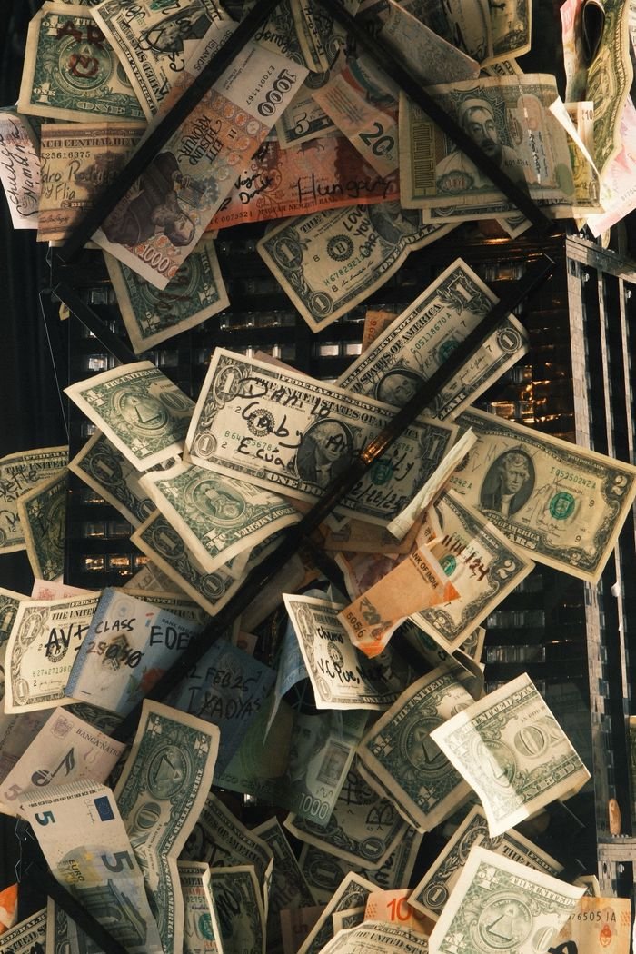 A collection of various international currency notes showcased in an artistic arrangement.